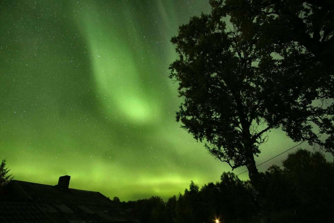 Karistua Villa Hansnes Kültér fotó